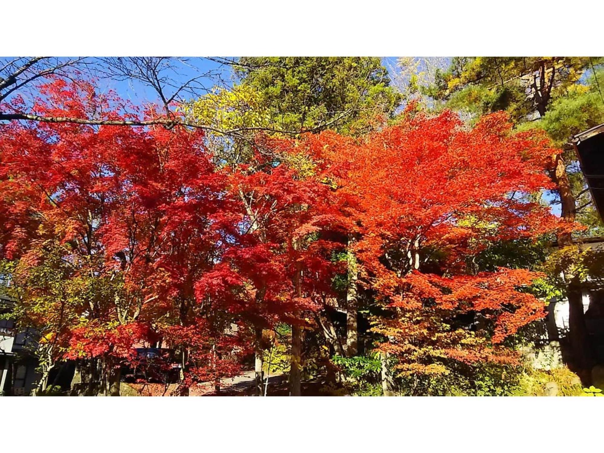 Tomareru Sento Taka No Yu - Vacation Stay 00556V Takayama  Exterior foto